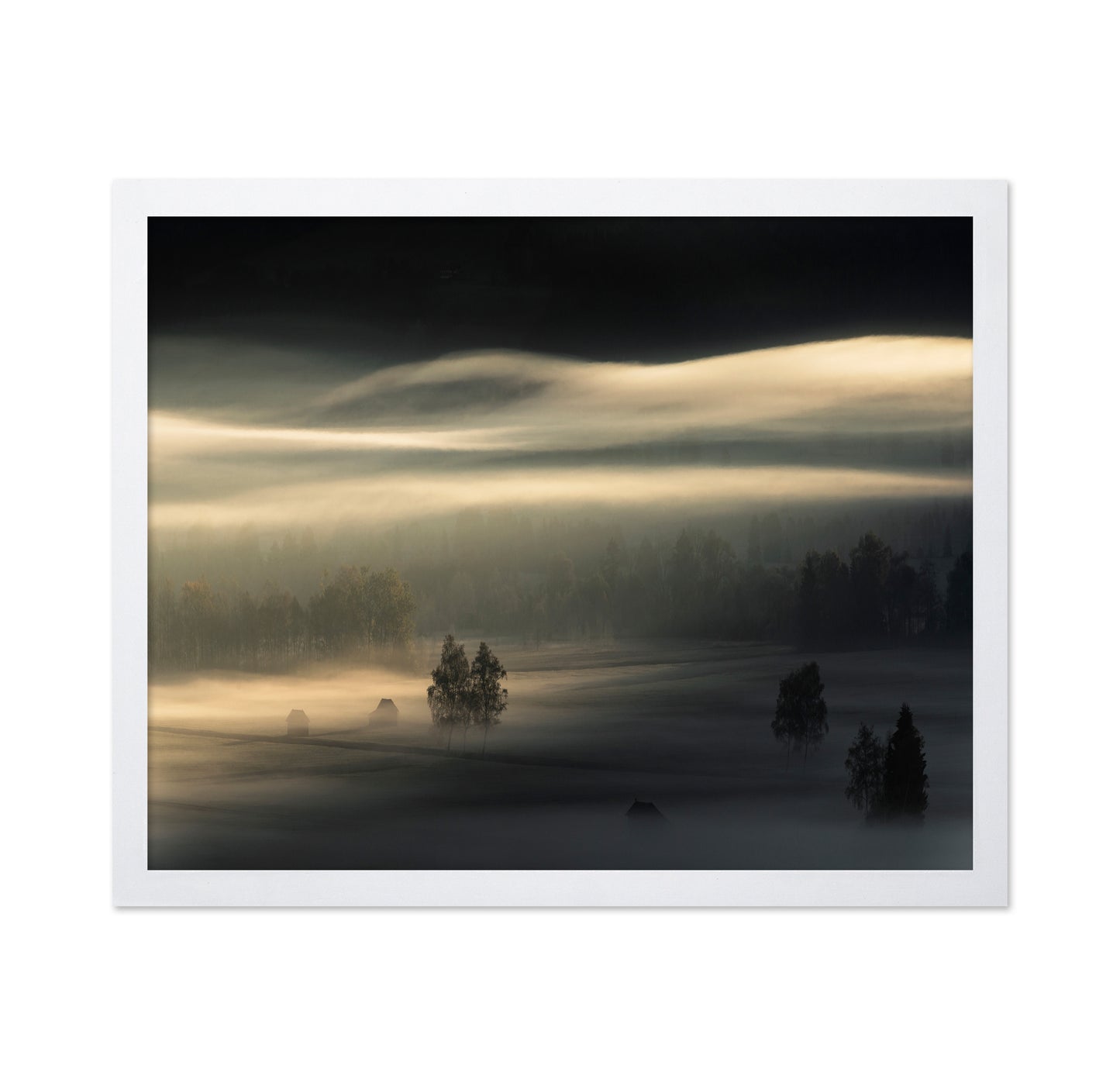 Golden Mist Fields