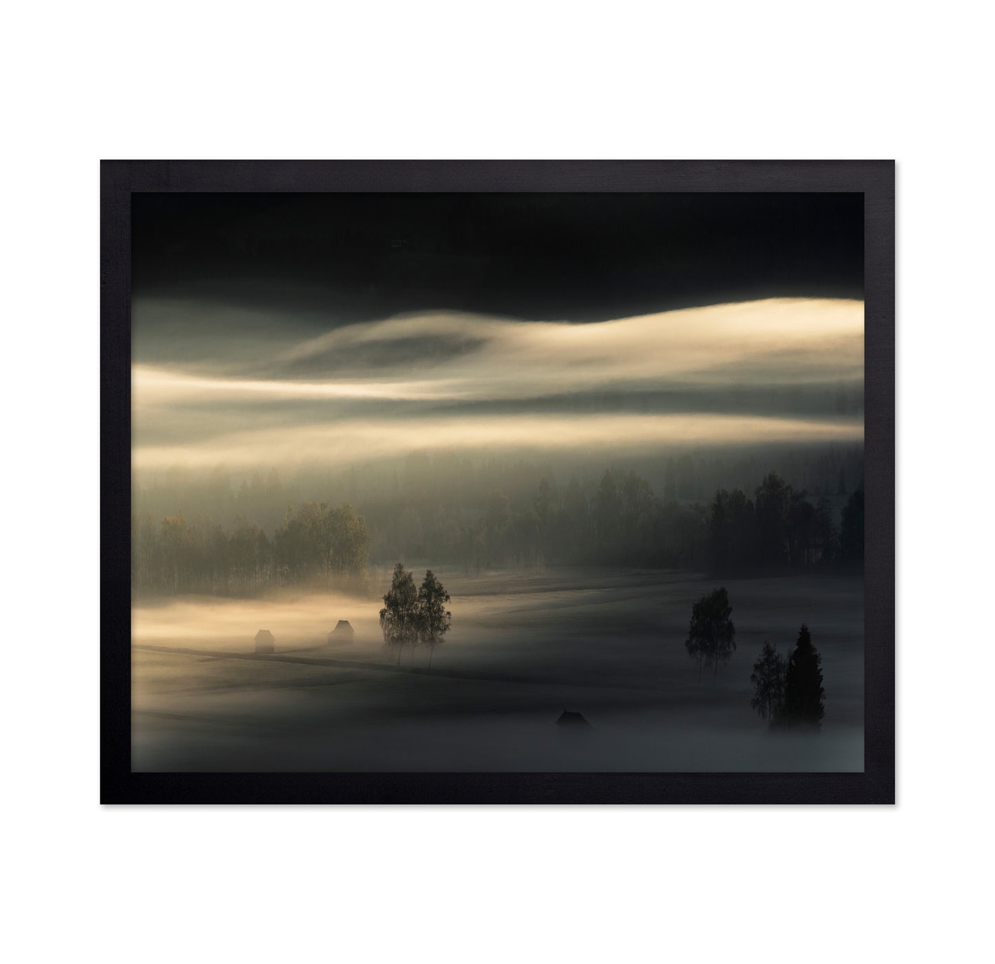 Golden Mist Fields