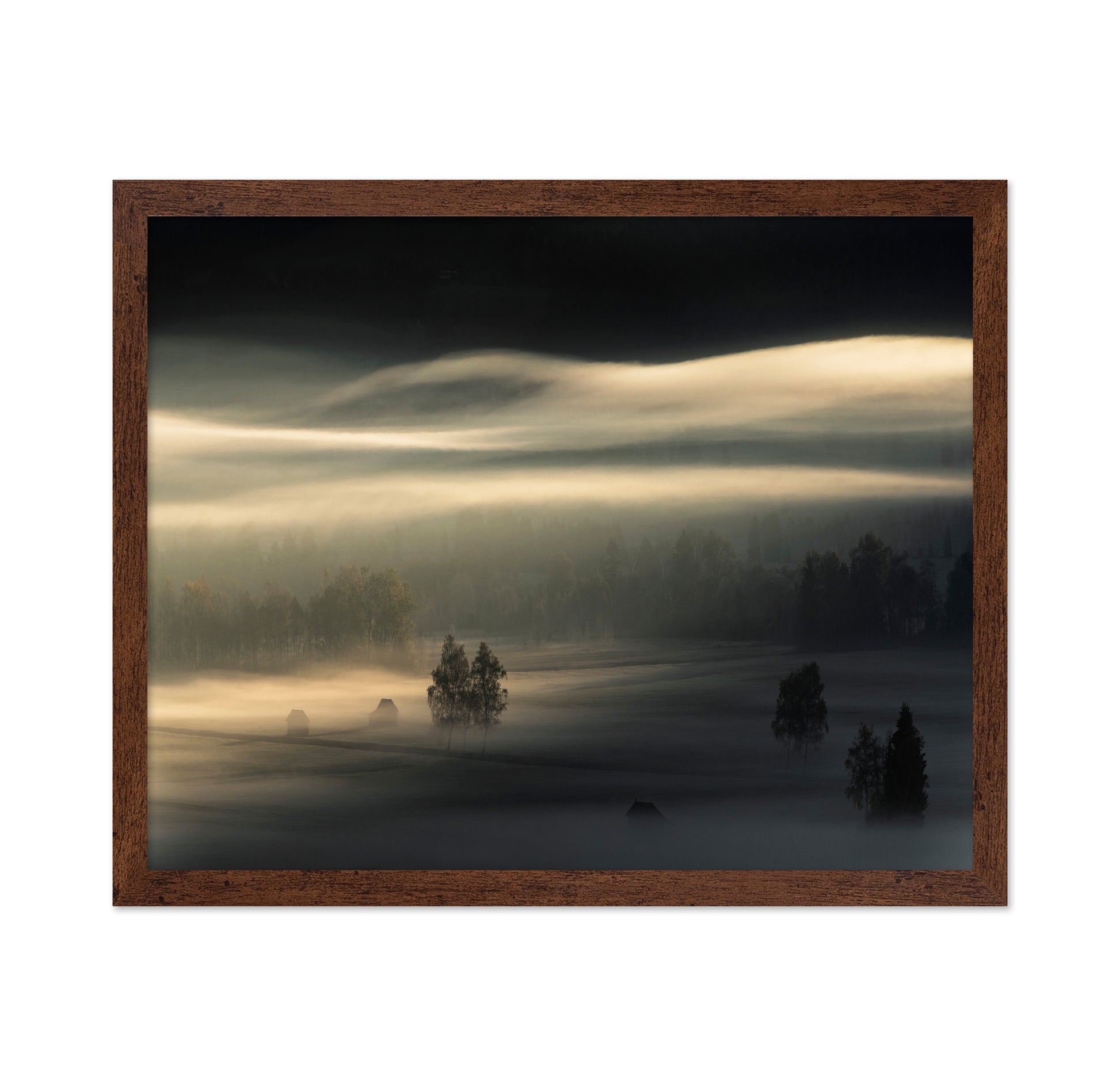 Golden Mist Fields