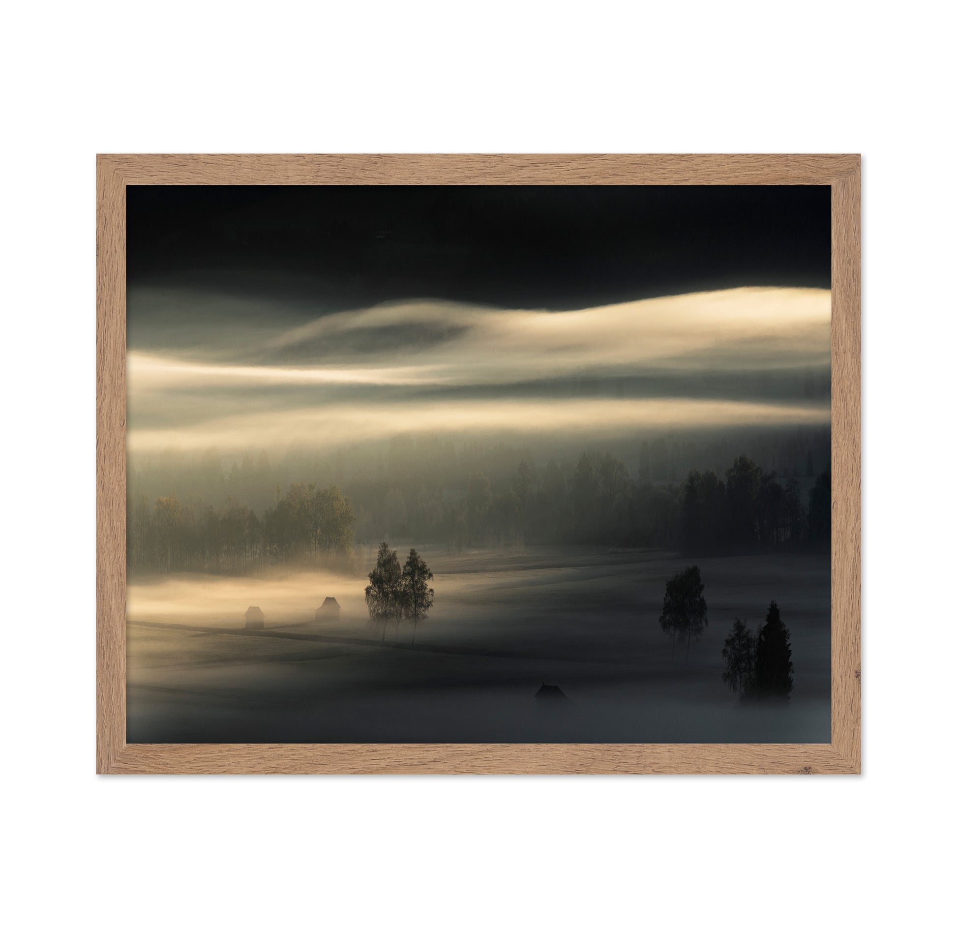 Golden Mist Fields