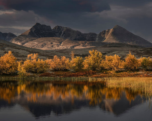 Norway Autumn Glow