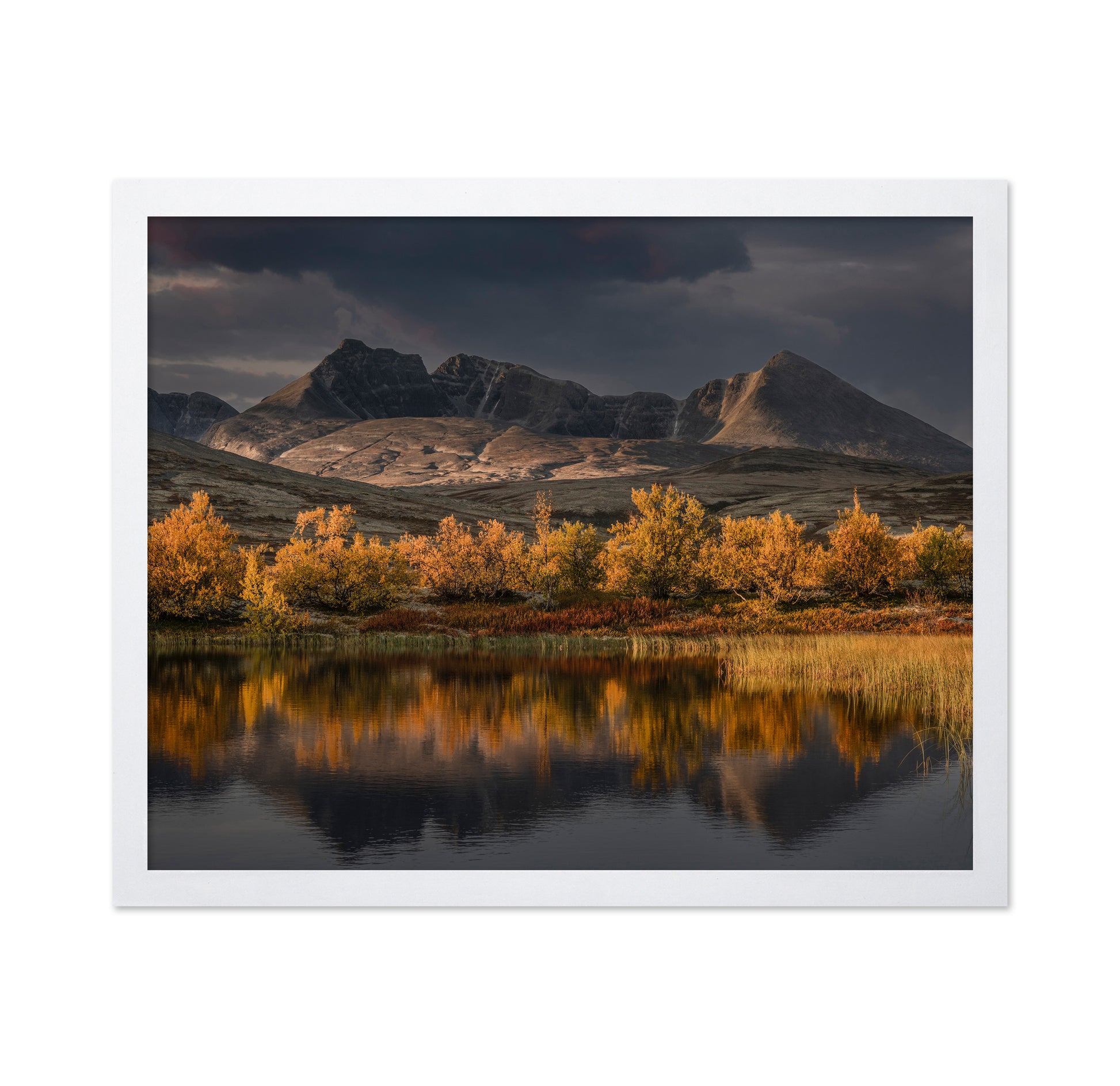 Norway Autumn Glow
