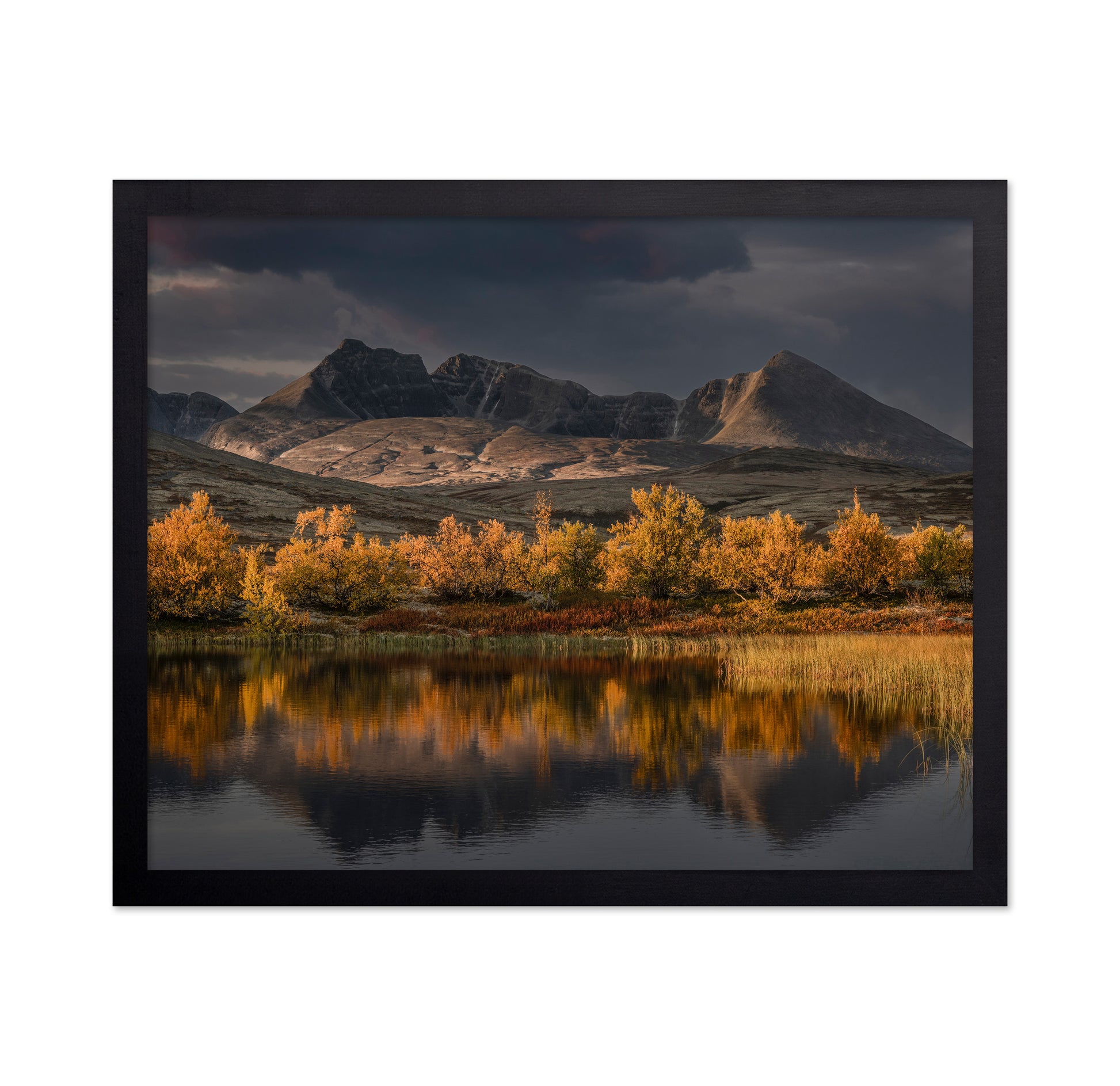 Norway Autumn Glow