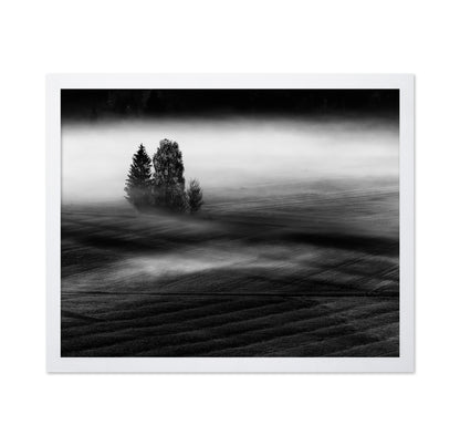 Foggy Fields Morning