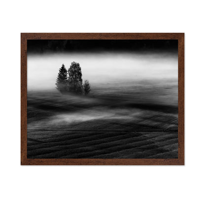 Foggy Fields Morning