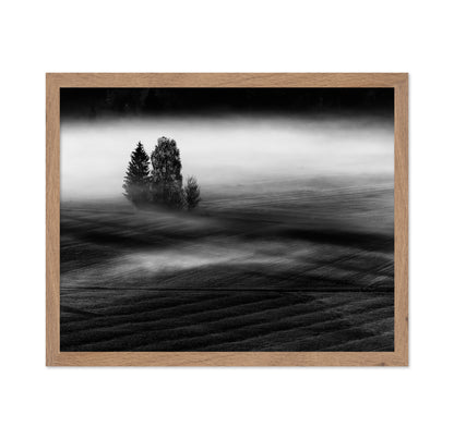 Foggy Fields Morning