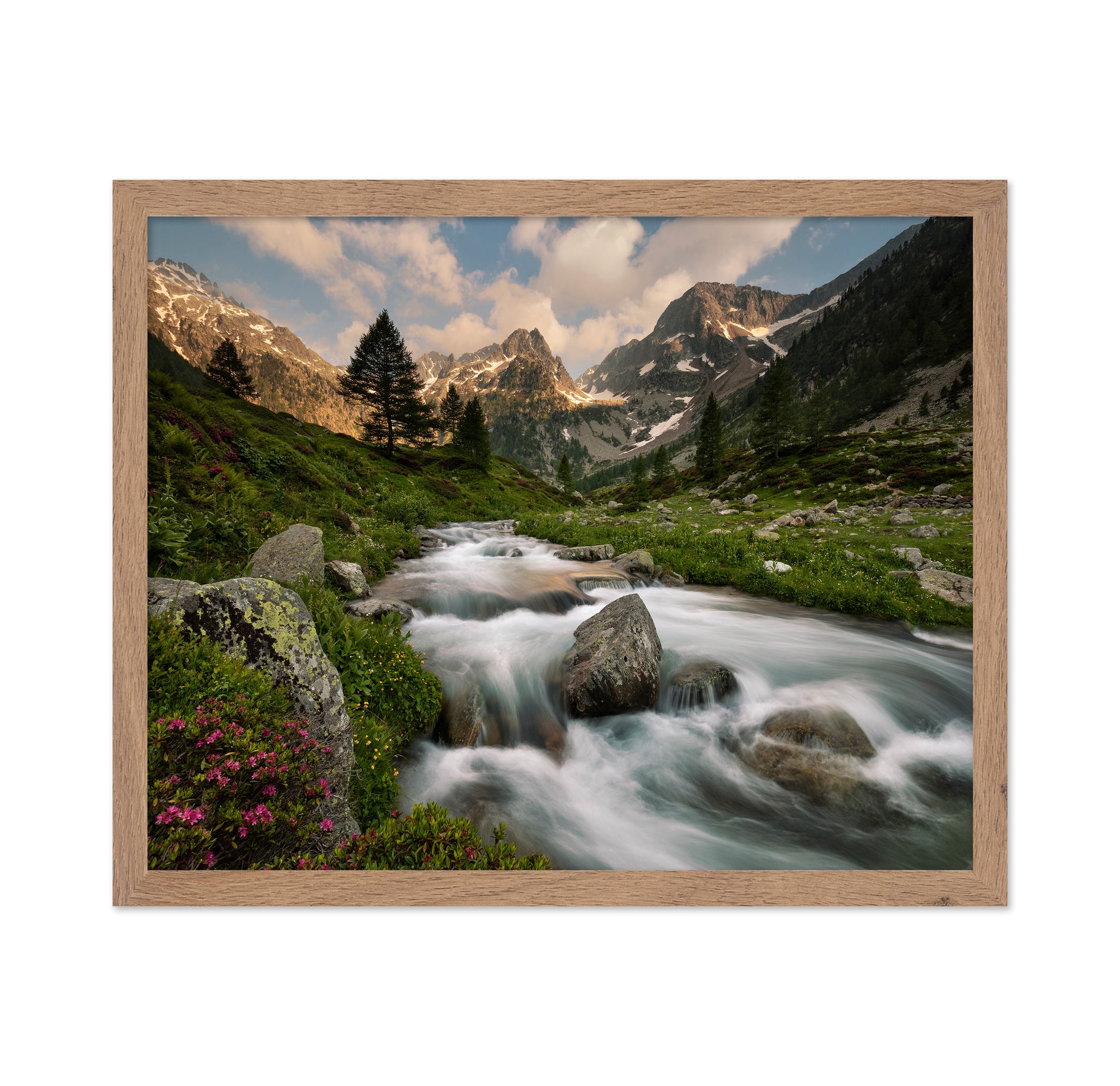 Alpine River Valley