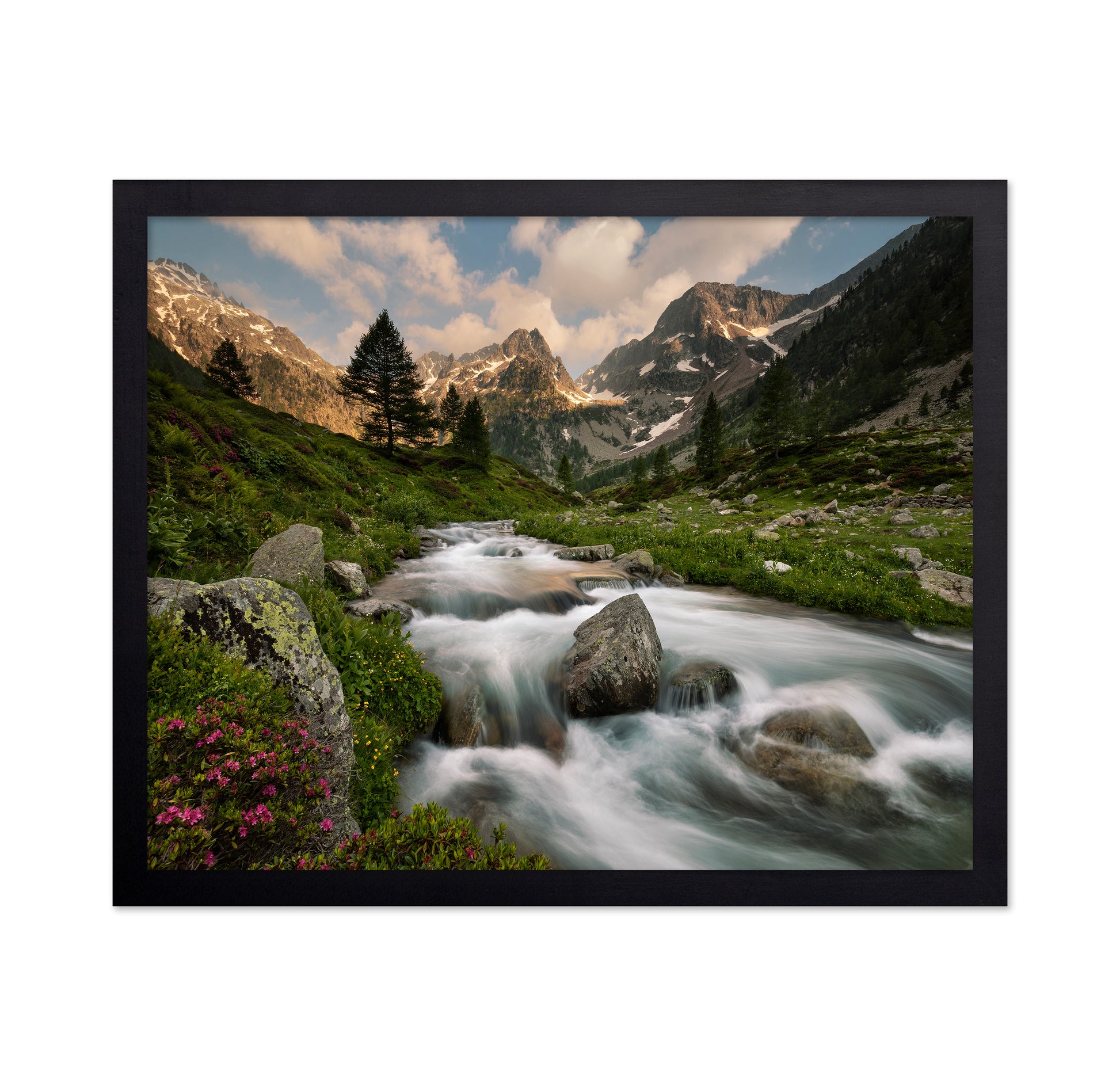 Alpine River Valley