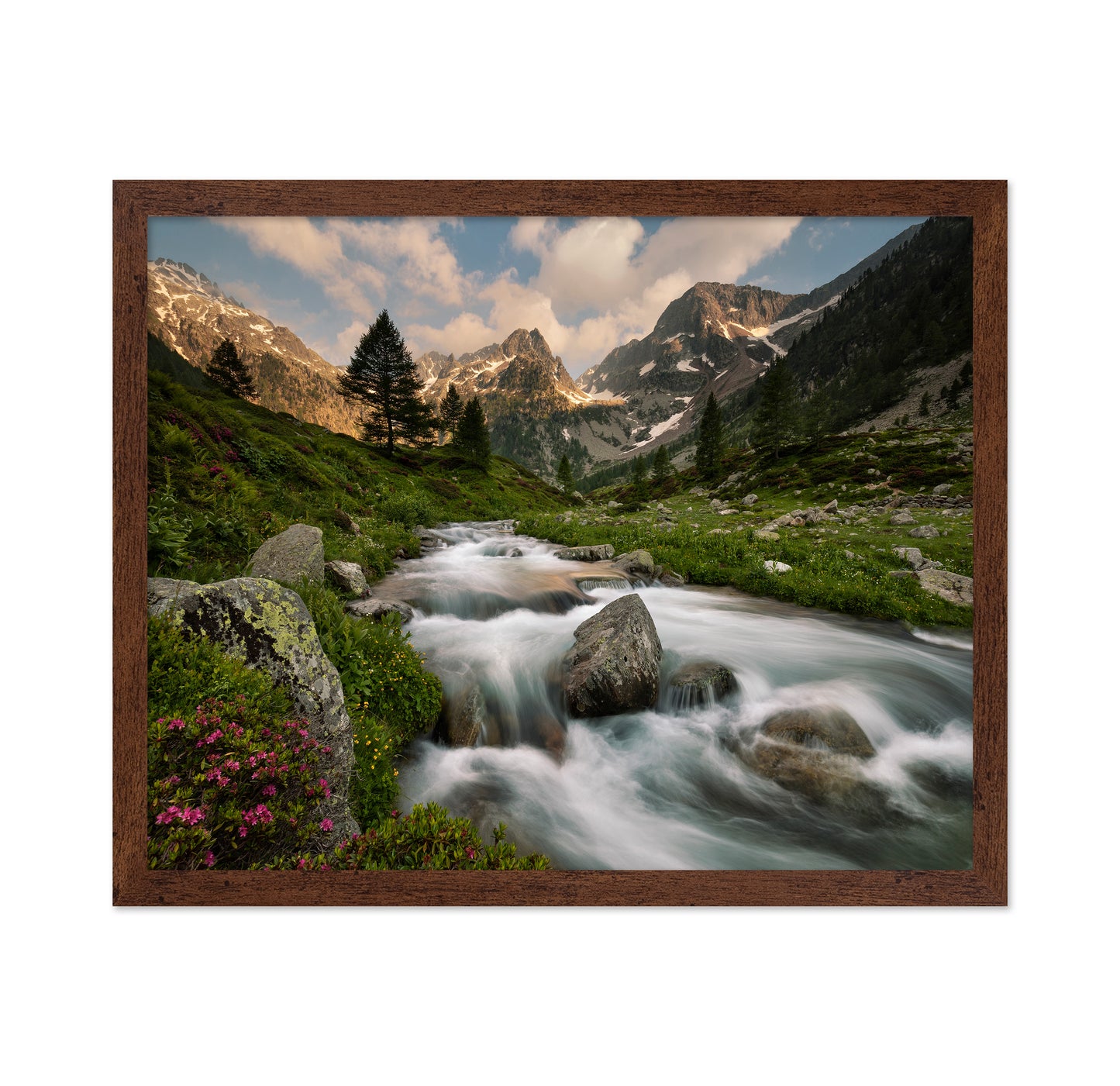 Alpine River Valley
