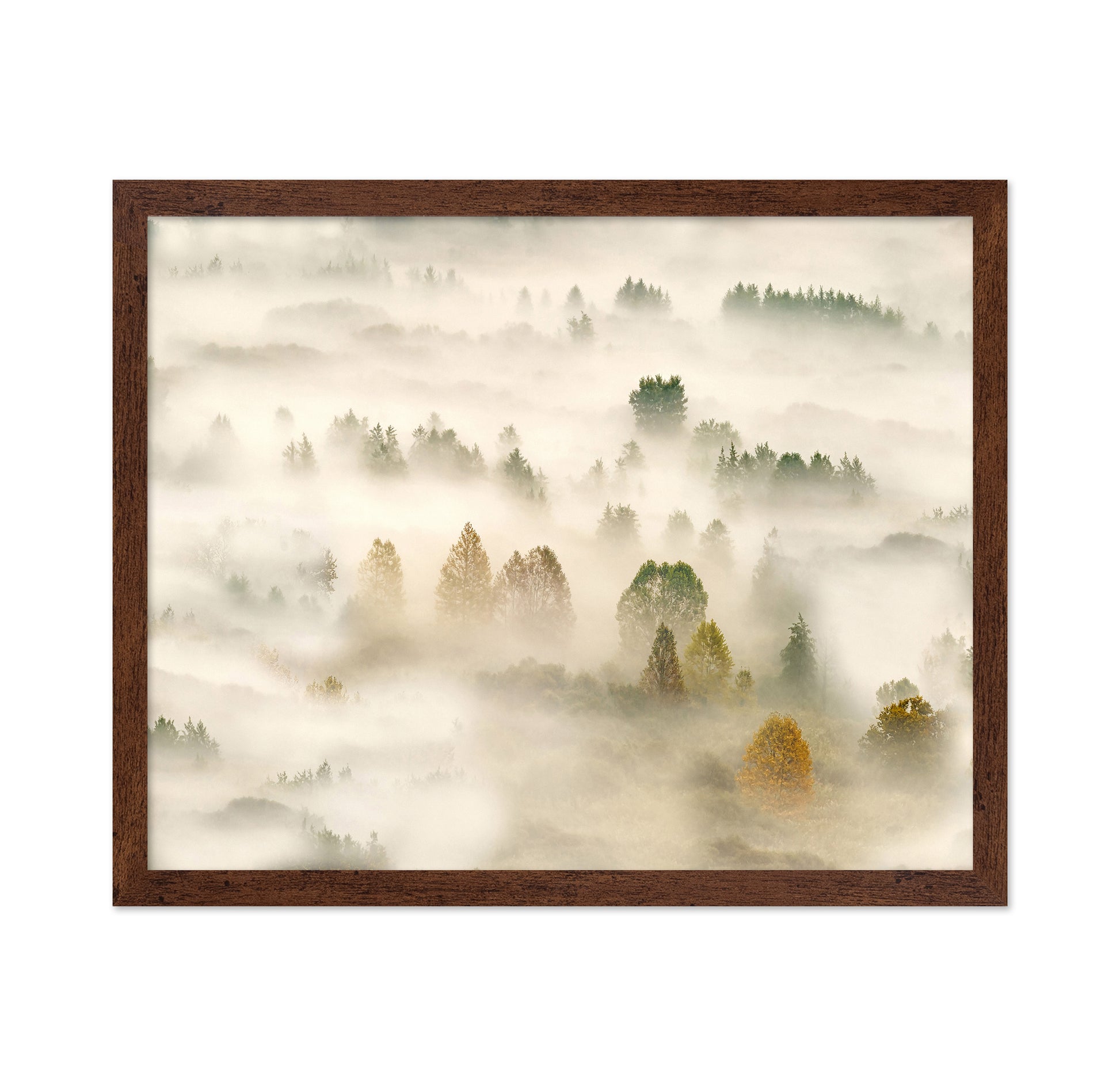 Misty Autumn Forest No1