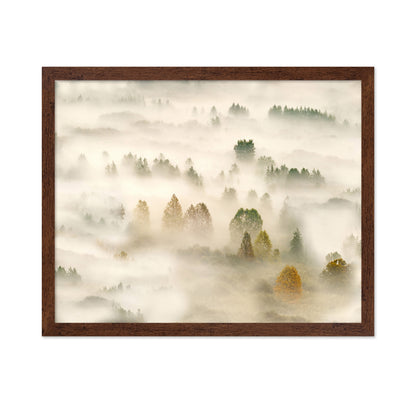 Misty Autumn Forest No1