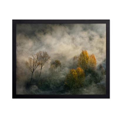 Autumn Trees in Mist