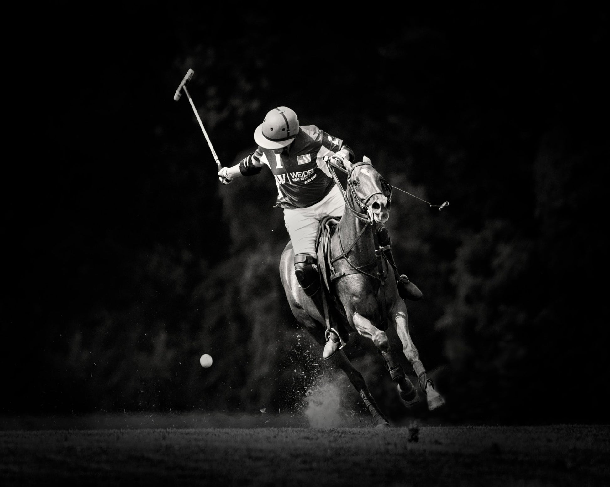 Polo Action Shot