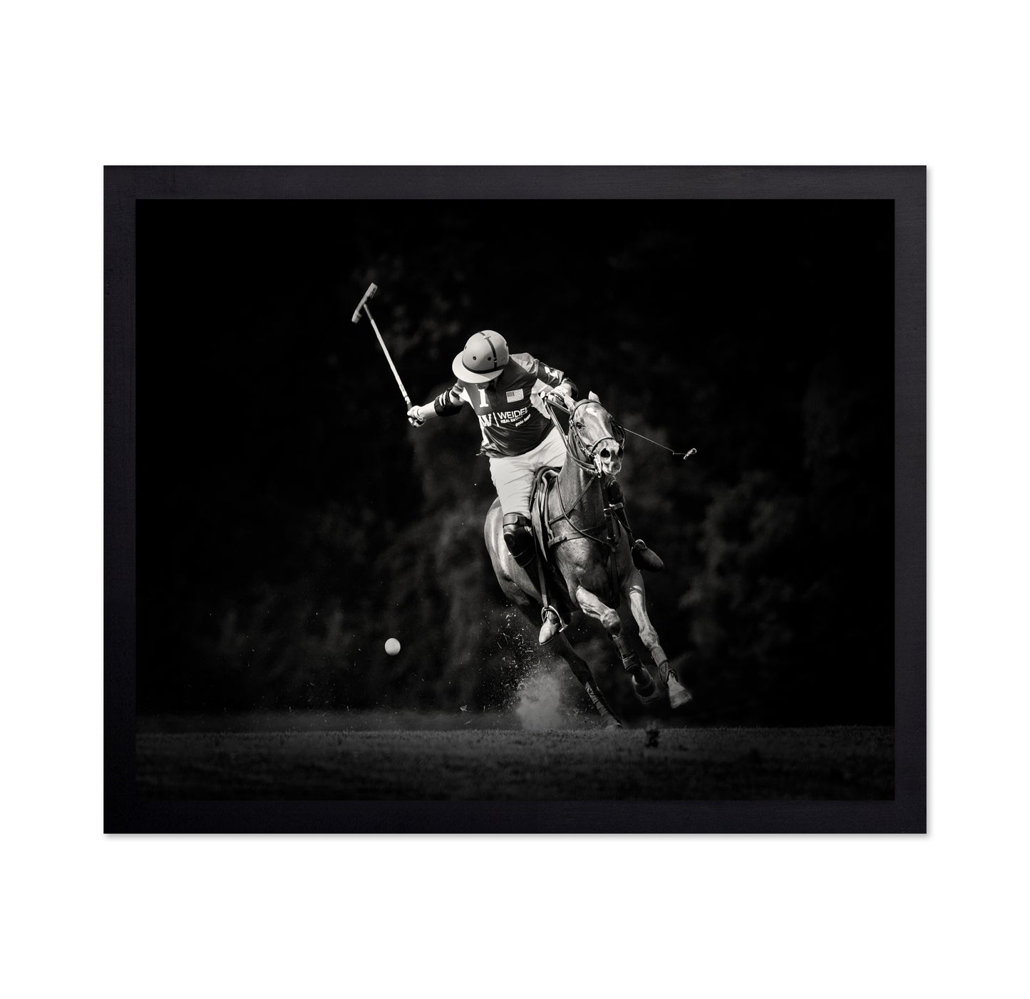 Polo Action Shot