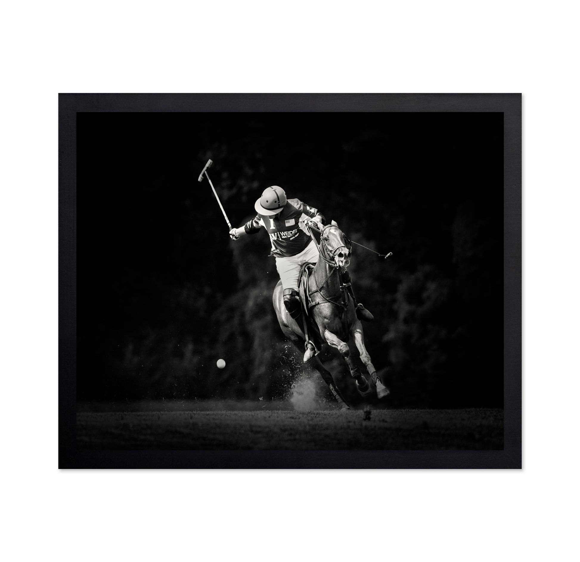Polo Action Shot