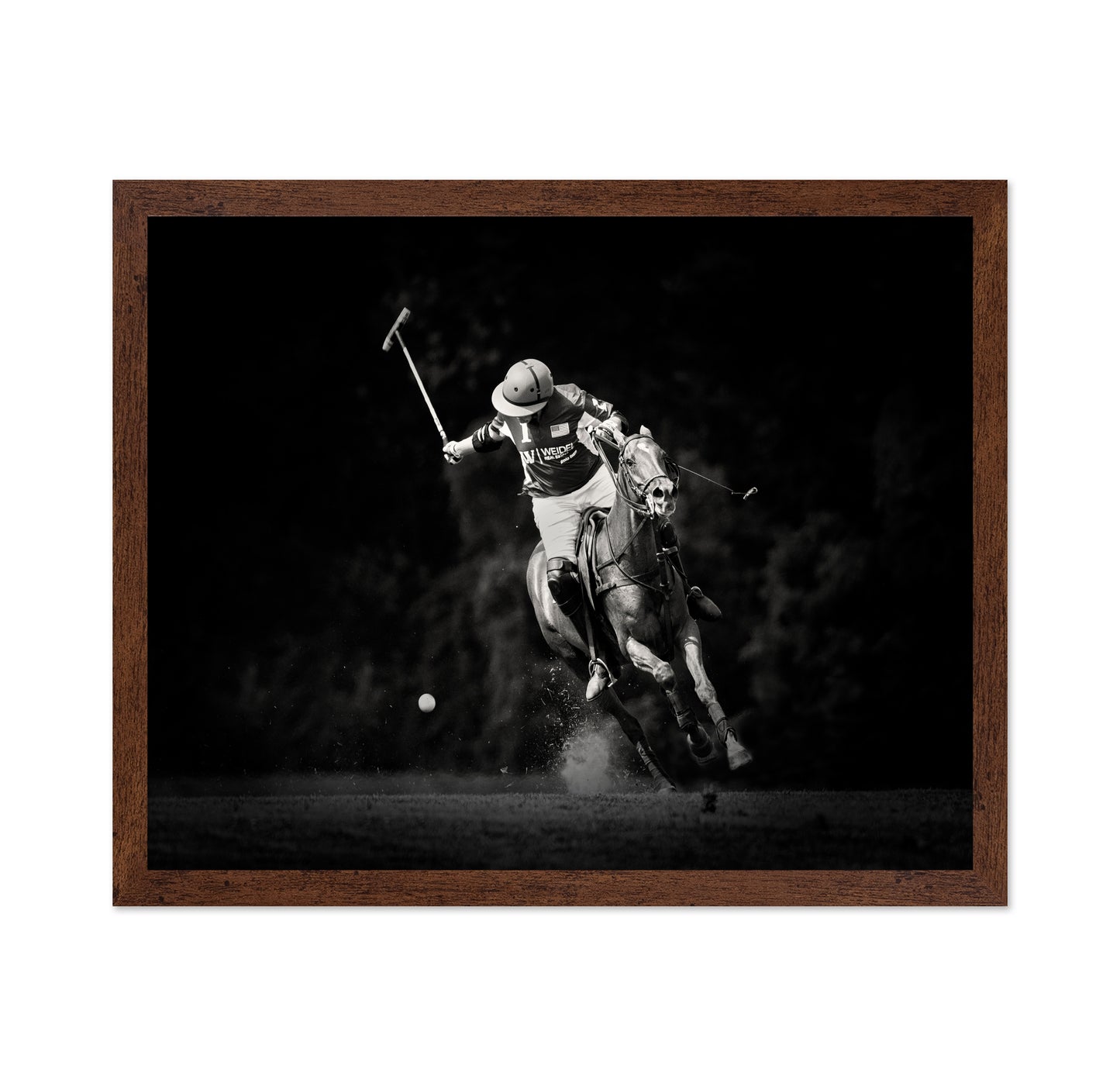 Polo Action Shot