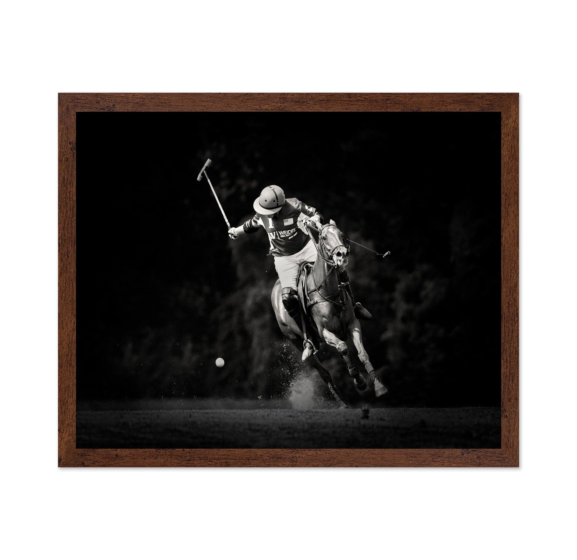 Polo Action Shot