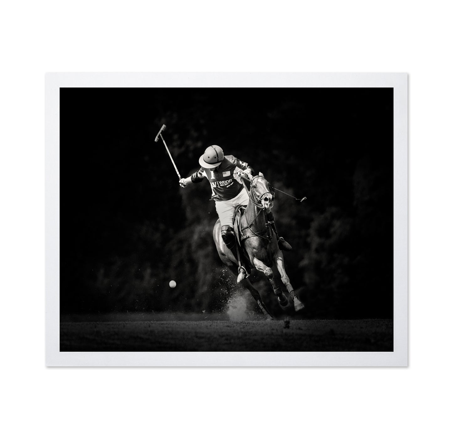 Polo Action Shot