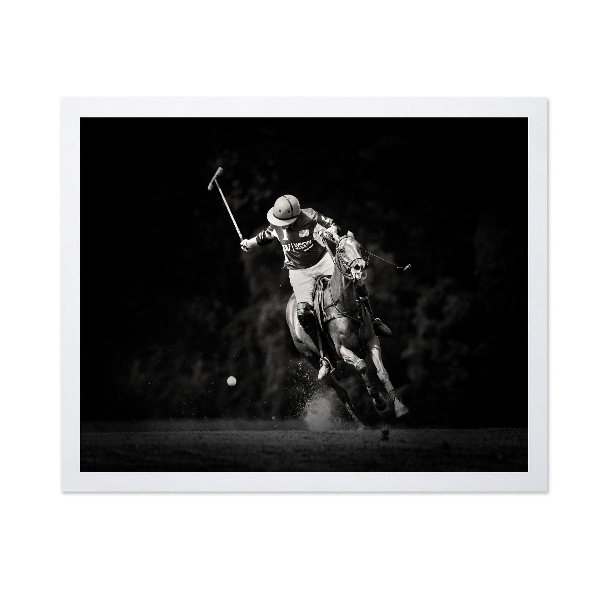 Polo Action Shot