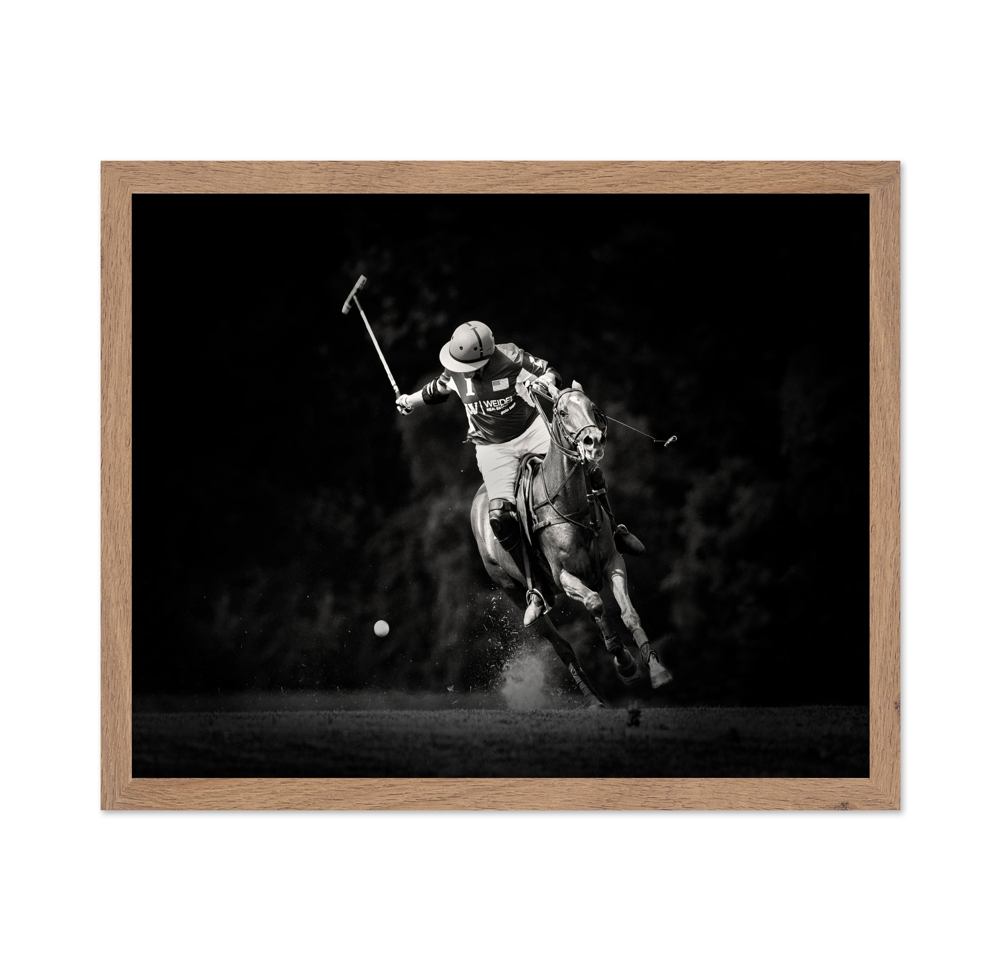 Polo Action Shot