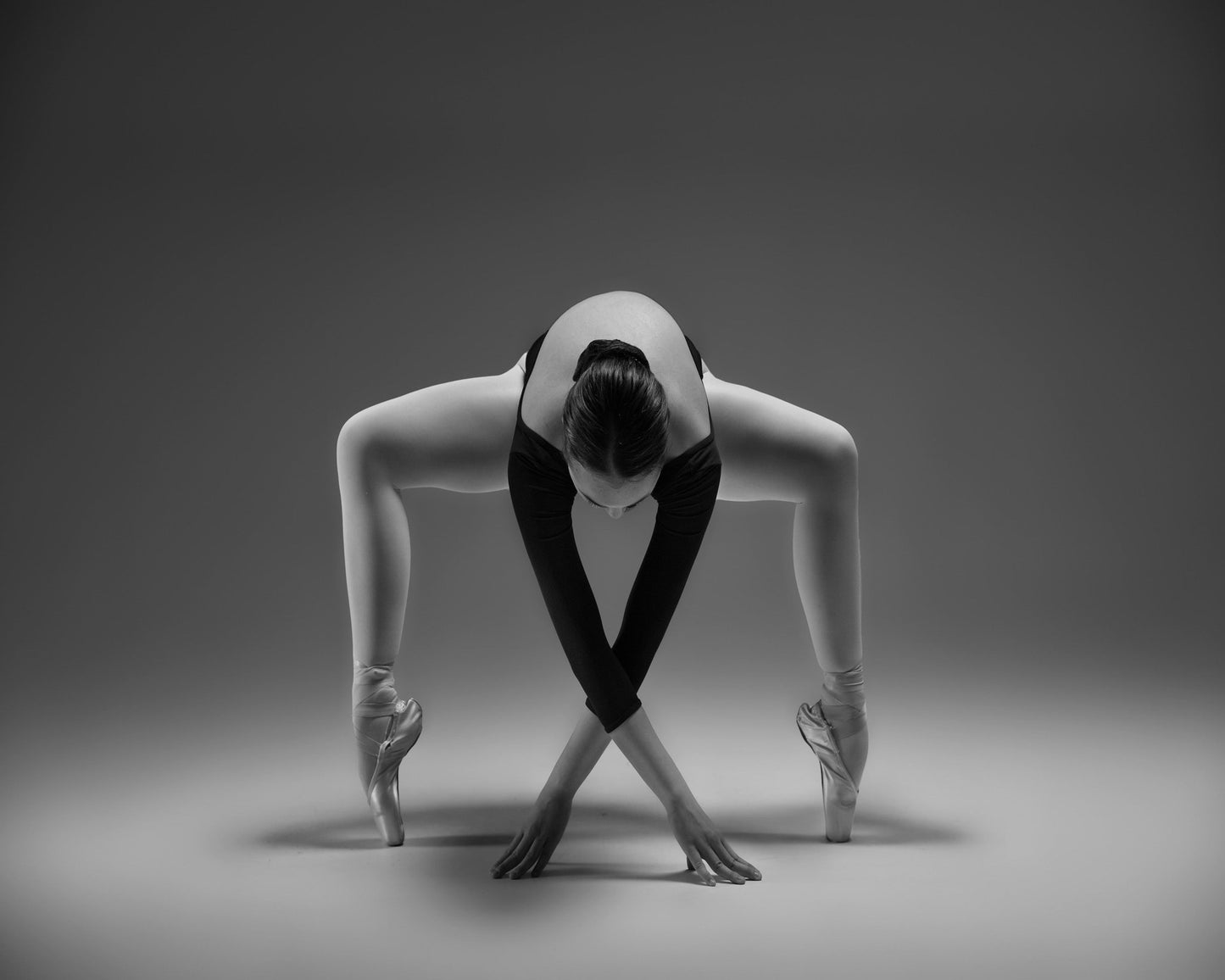 Elegant Ballet Pose