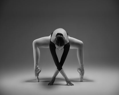Elegant Ballet Pose