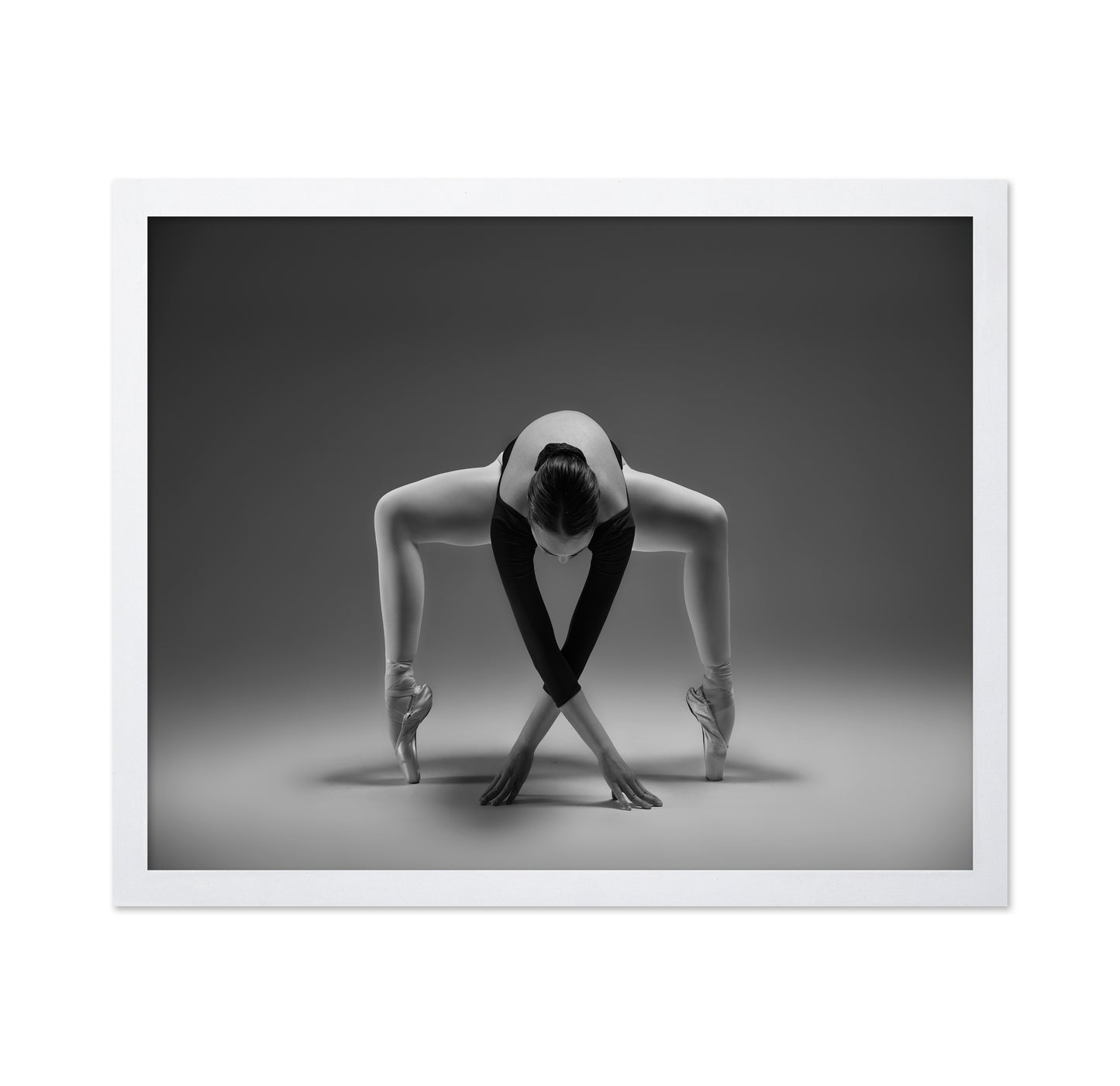 Elegant Ballet Pose