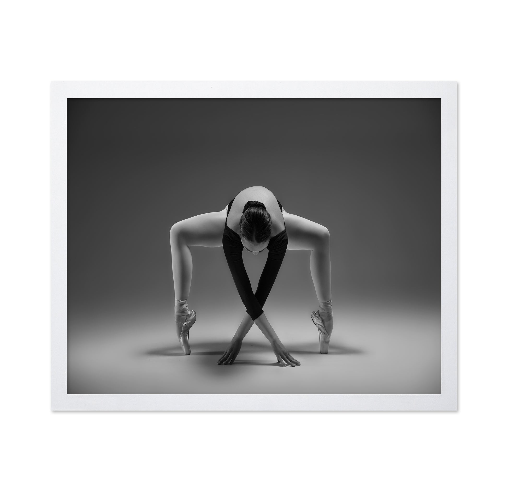 Elegant Ballet Pose