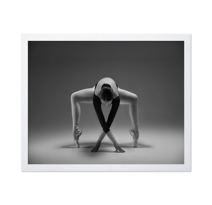 Elegant Ballet Pose