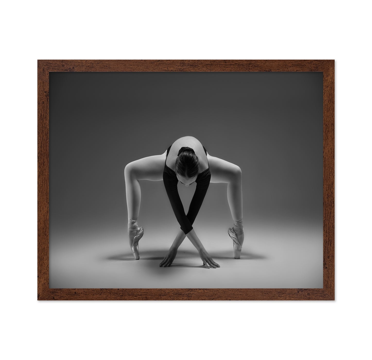 Elegant Ballet Pose