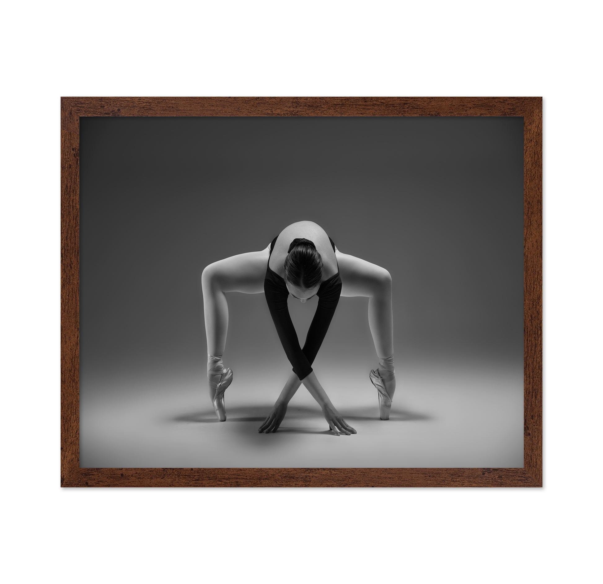 Elegant Ballet Pose