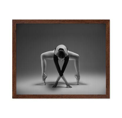 Elegant Ballet Pose
