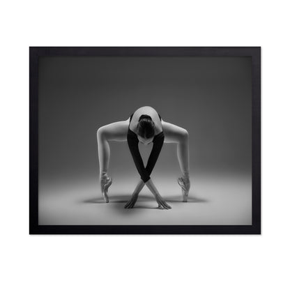 Elegant Ballet Pose