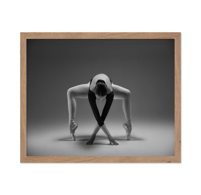 Elegant Ballet Pose