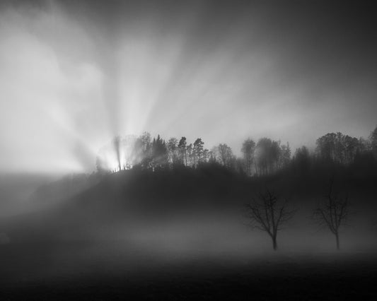 Sun Rays in Fog