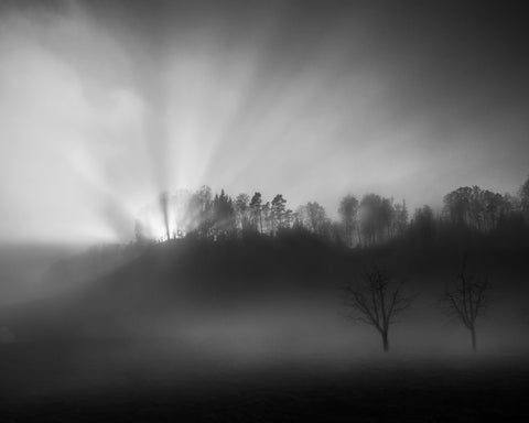 Sun Rays in Fog