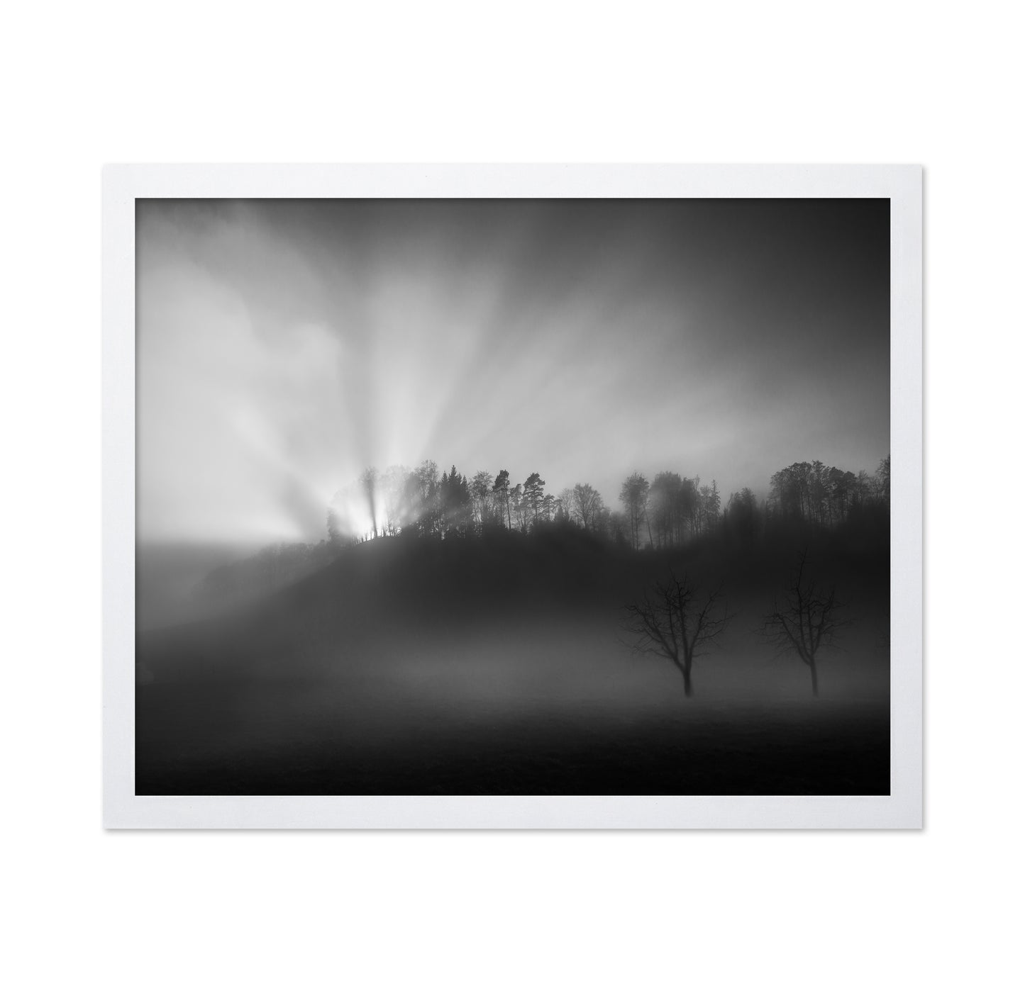 Sun Rays in Fog