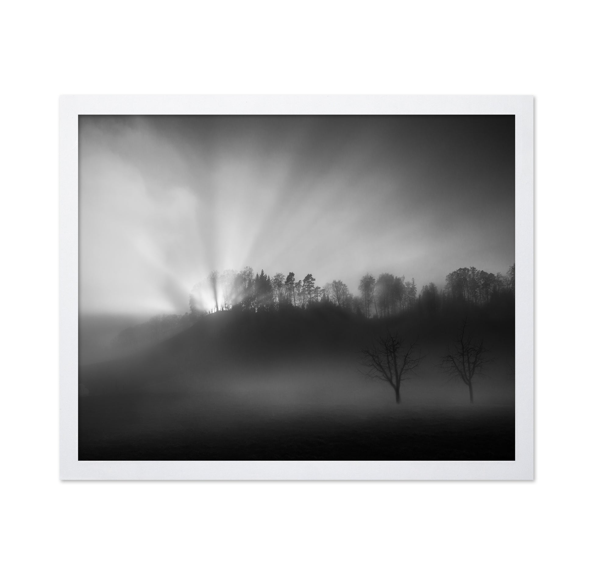 Sun Rays in Fog