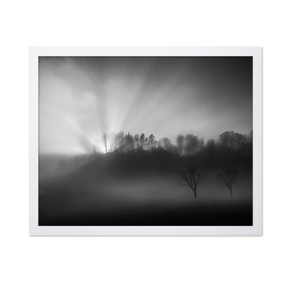 Sun Rays in Fog
