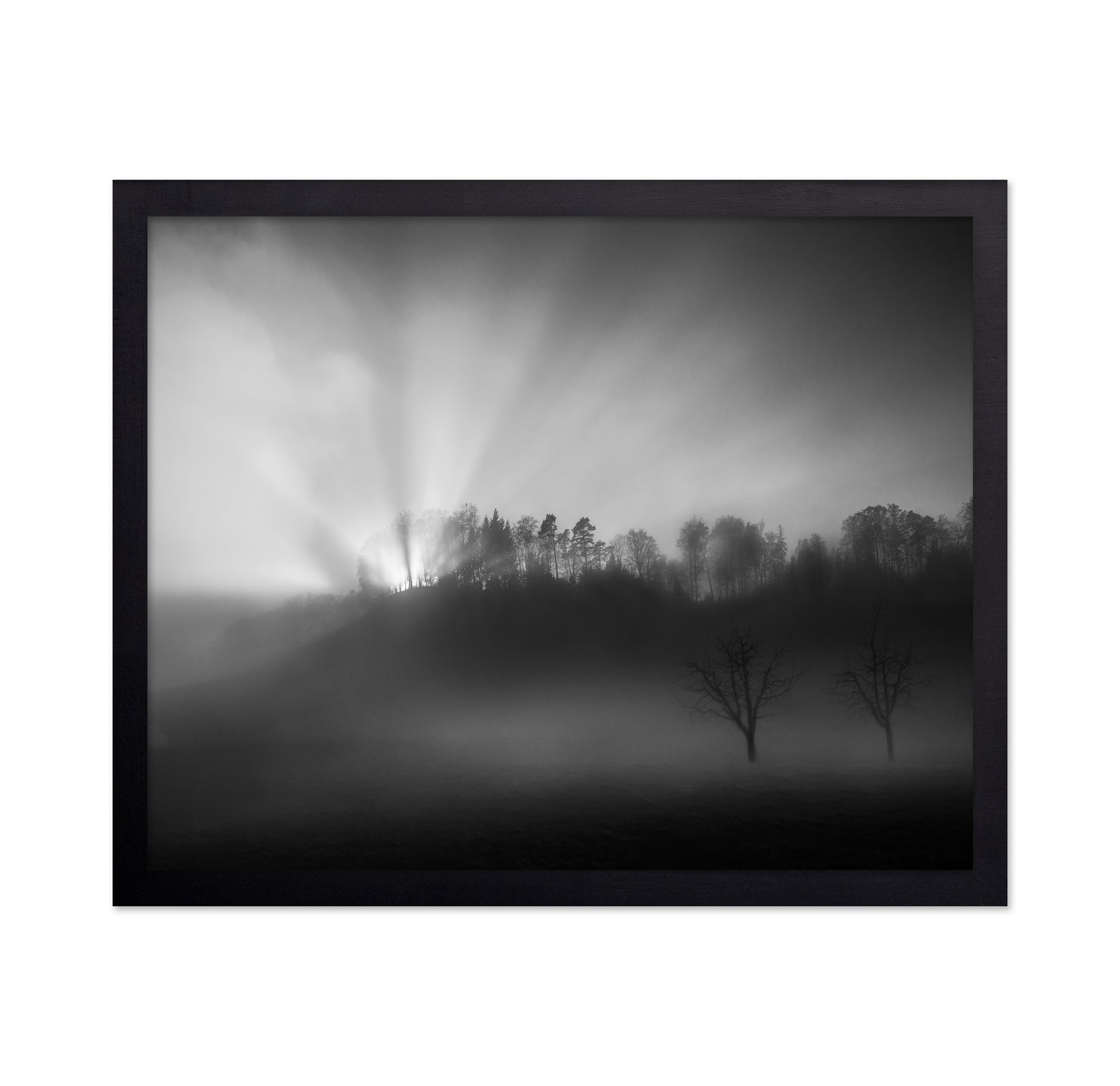 Sun Rays in Fog