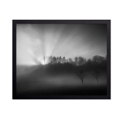 Sun Rays in Fog