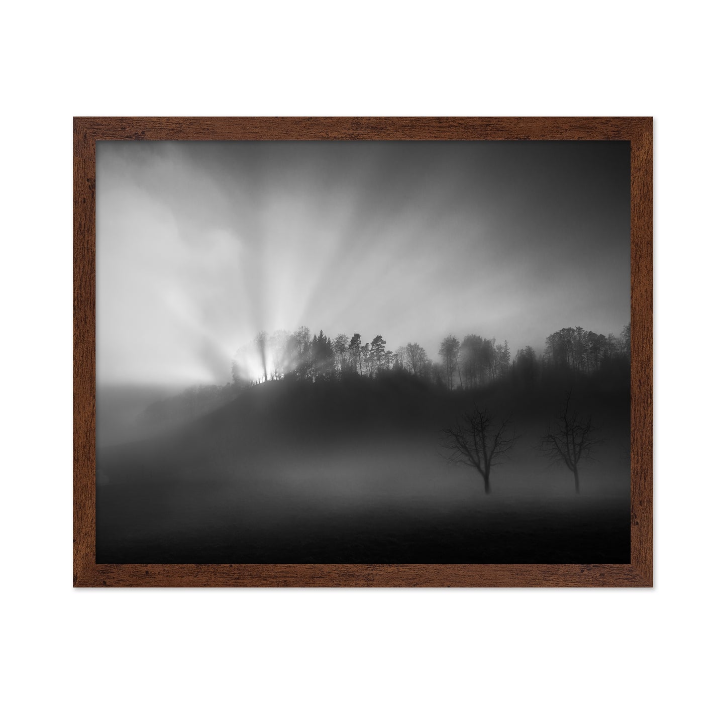 Sun Rays in Fog