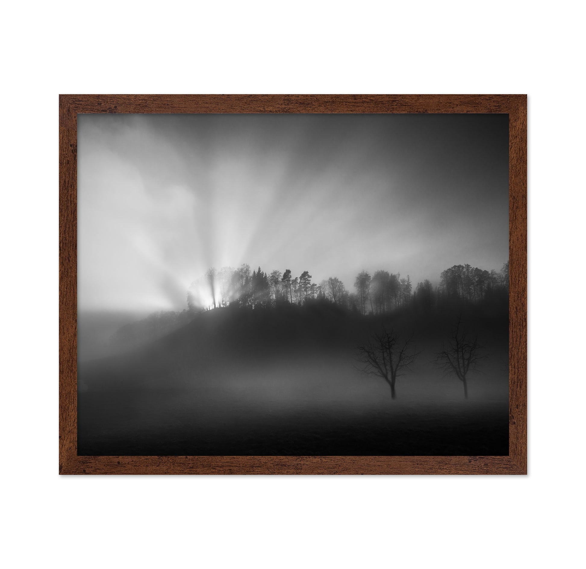 Sun Rays in Fog