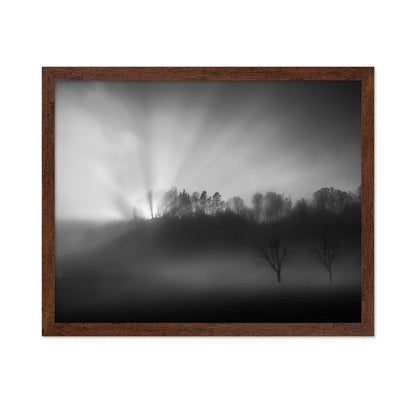 Sun Rays in Fog