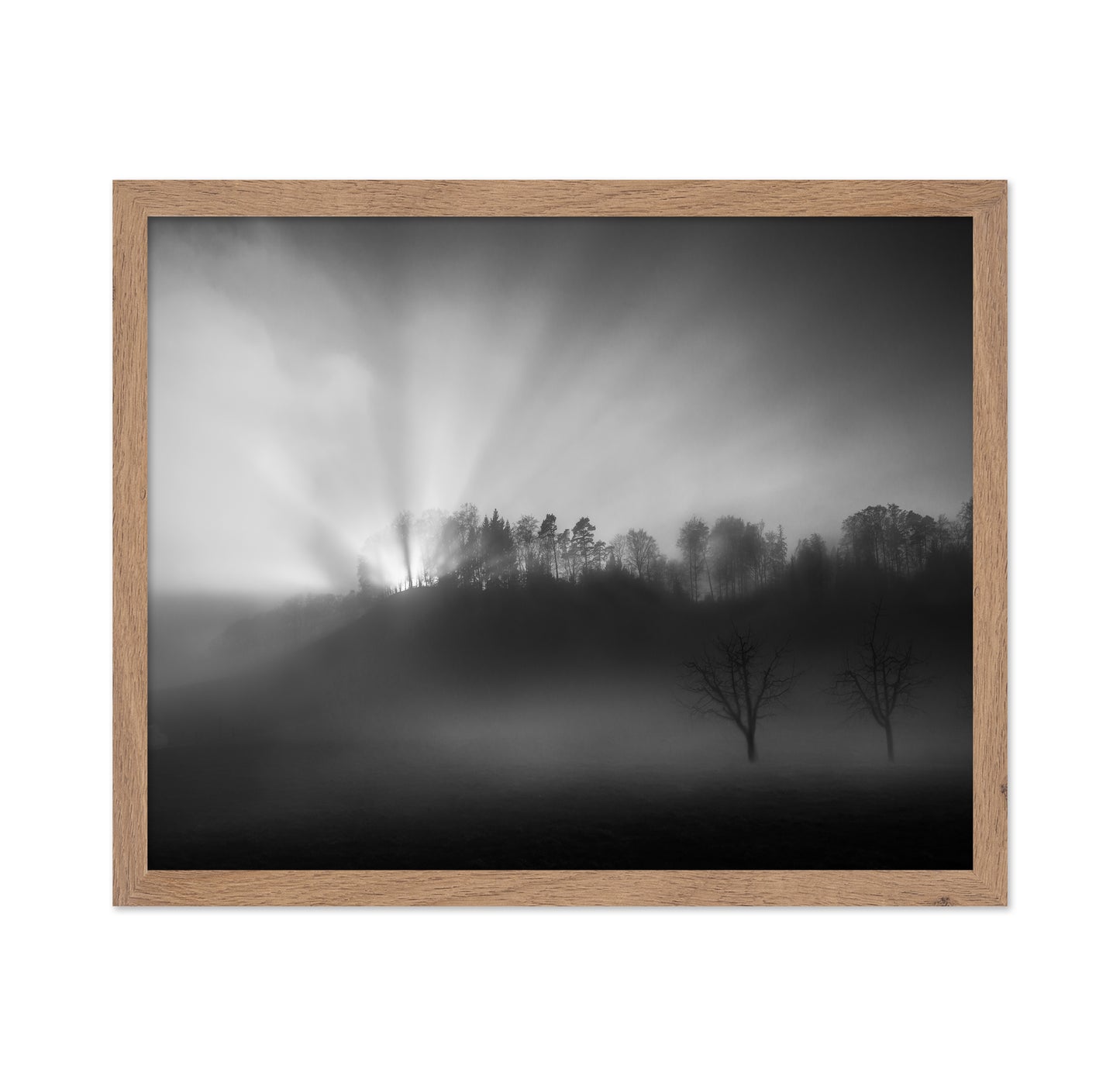 Sun Rays in Fog