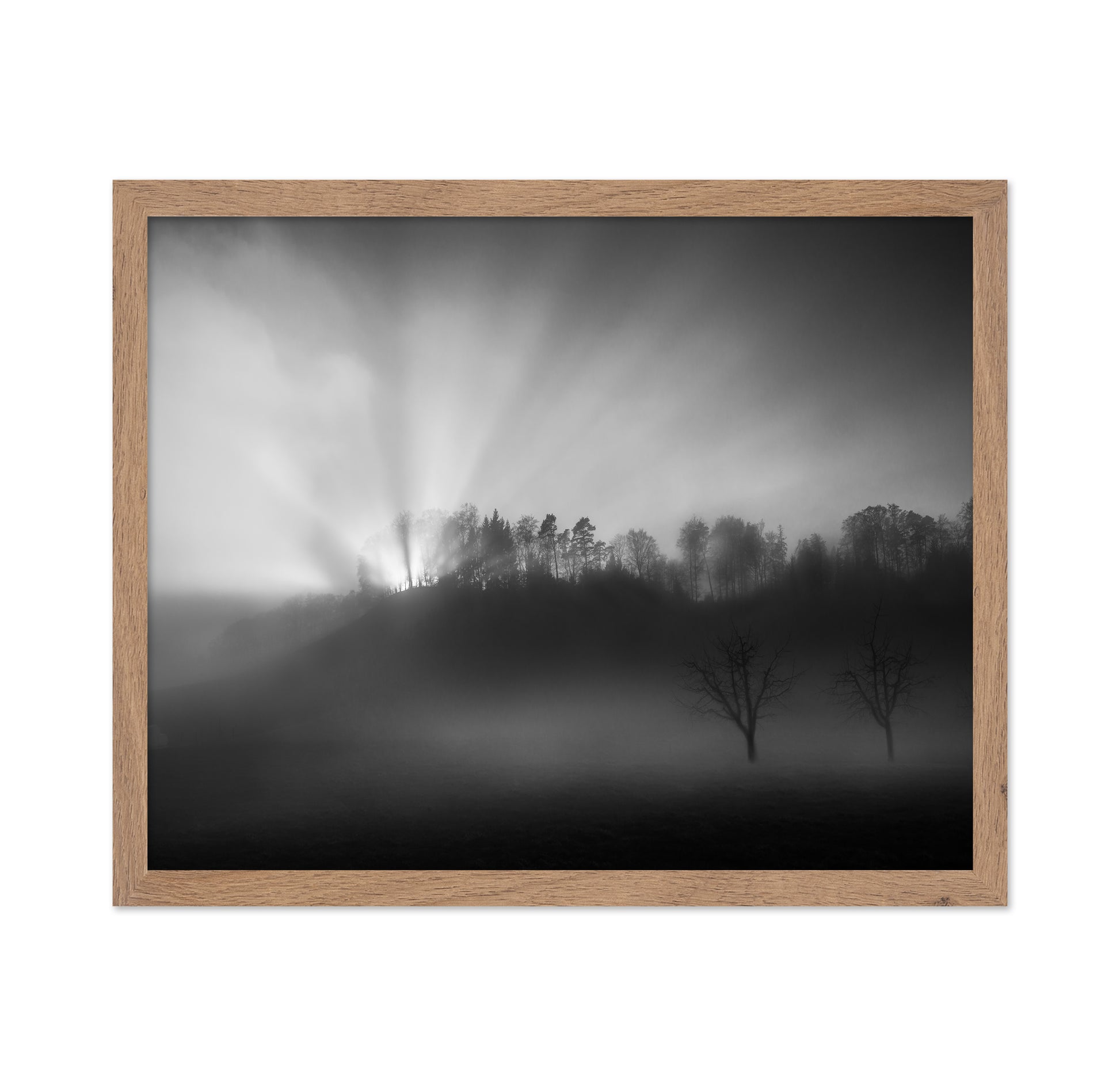 Sun Rays in Fog