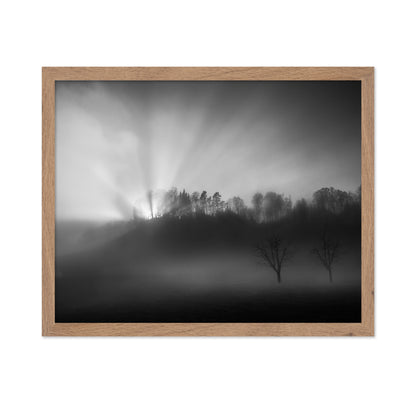 Sun Rays in Fog