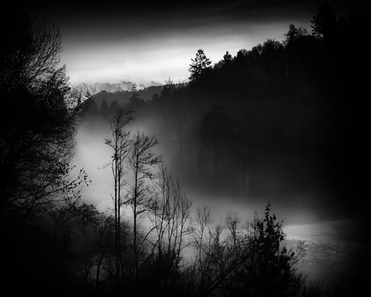 Foggy River Valley