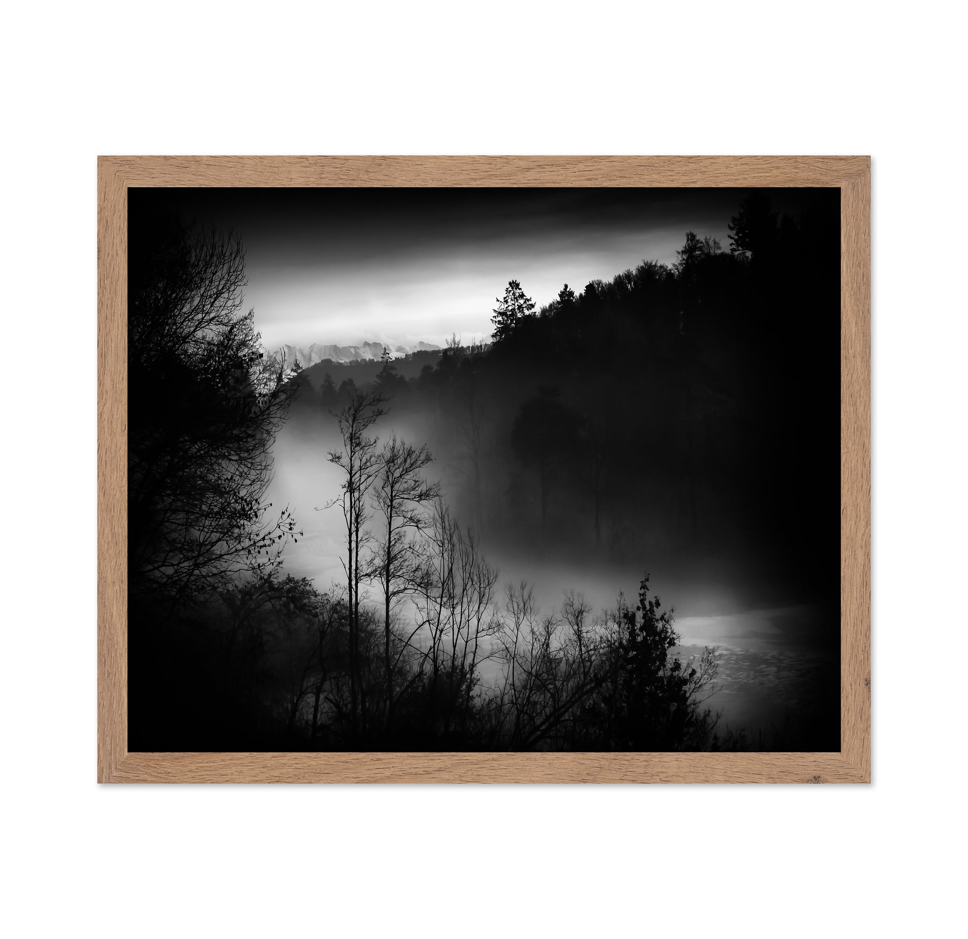 Foggy River Valley