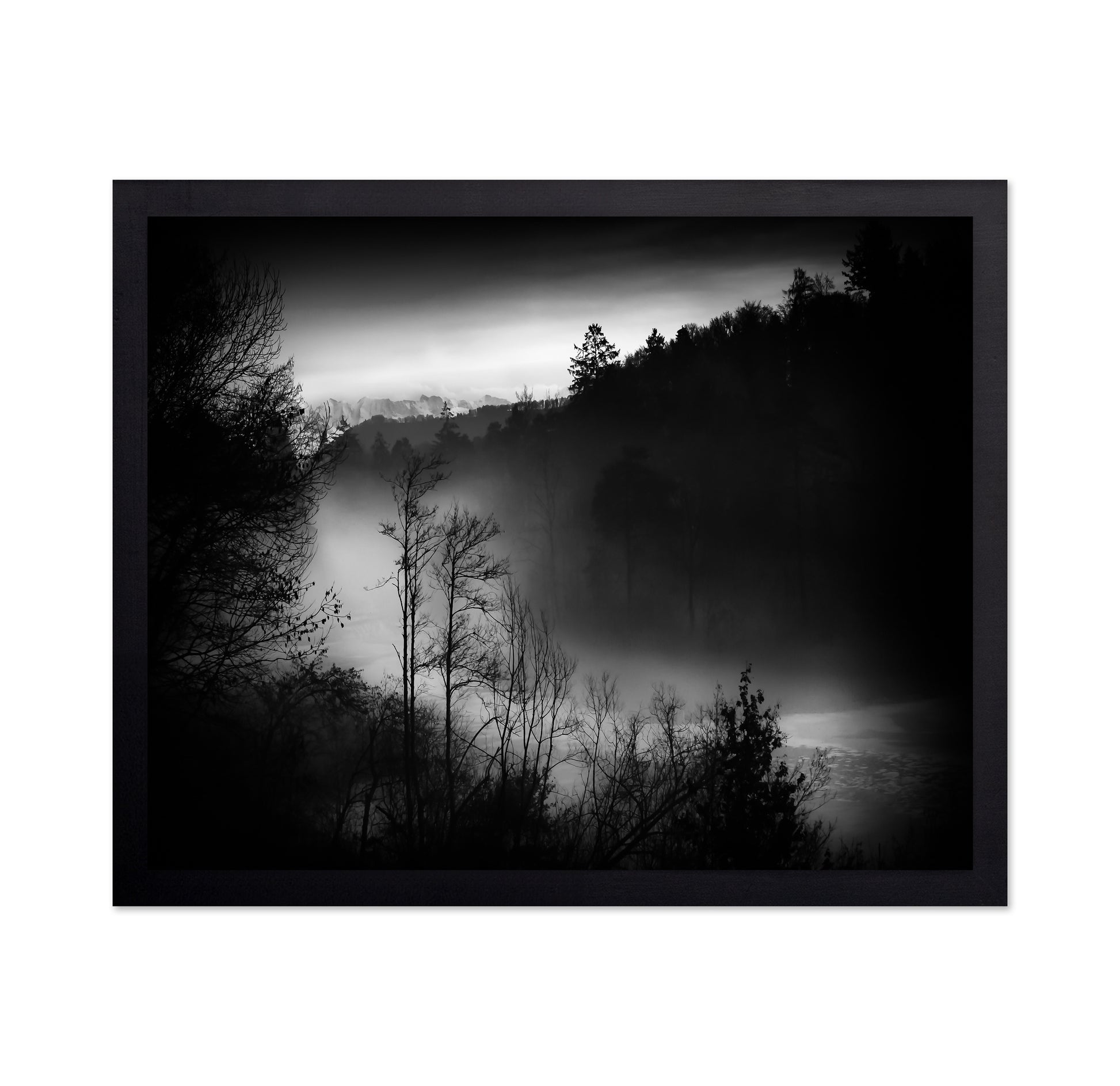 Foggy River Valley